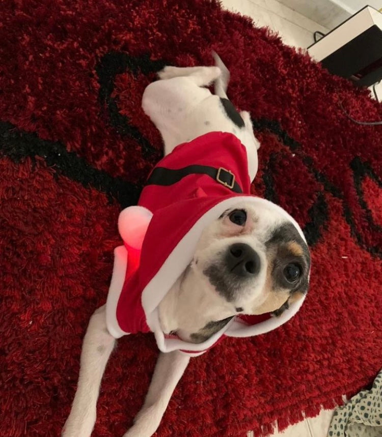 Pet Designer Santa Claus Holiday Christmas Noel Sleeveless Shirt for Dogs and Cats