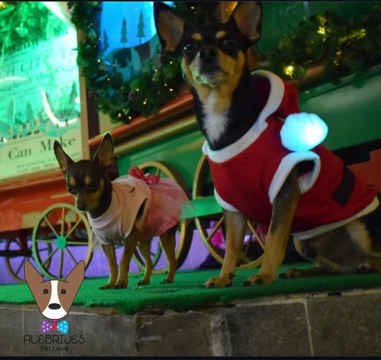 Pet Designer Santa Claus Holiday Christmas Noel Sleeveless Shirt for Dogs and Cats