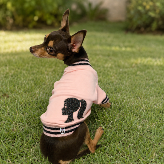 Pet Clothing | Pet Designer Pink and Black Shirt for Dogs and Cats