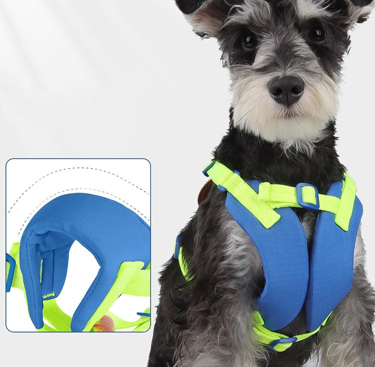 Vest Leash Pet Harness Cartoon Theme