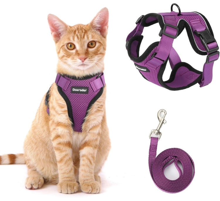 Cat Harness and Leash Escape Proof - Small Size