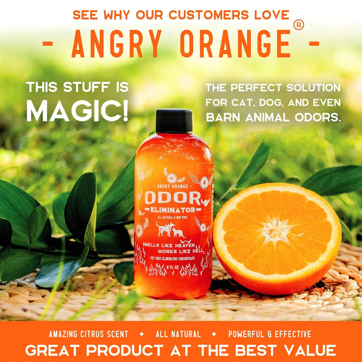 Angry Orange Pet Odor Eliminator 8 Oz