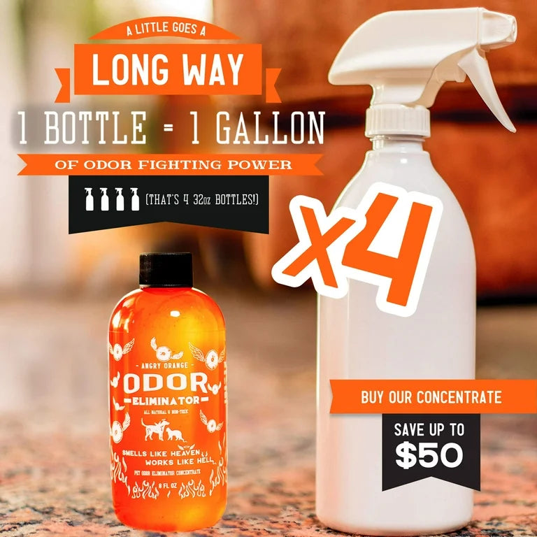 Angry Orange Pet Odor Eliminator 8 Oz