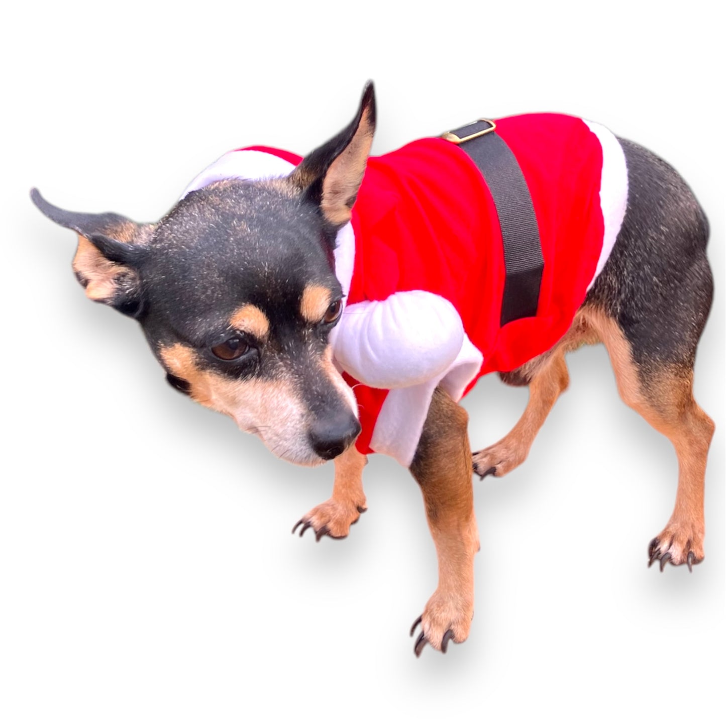 Pet Designer Santa Claus Holiday Christmas Noel Sleeveless Shirt for Dogs and Cats