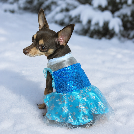 Pet Clothing | Blue Snowflake Dog Dress – Winter Princess Pet Costume