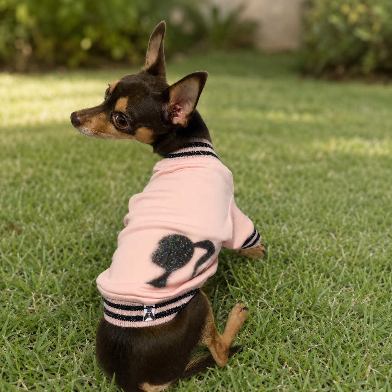 Pet Designer Pink and Black Shirt for Dogs and Cats