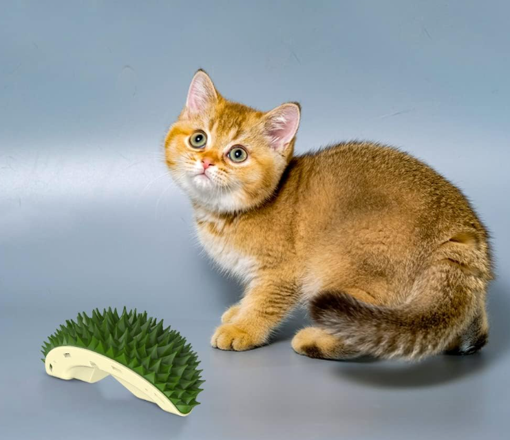 Cat Self Groomer Brush