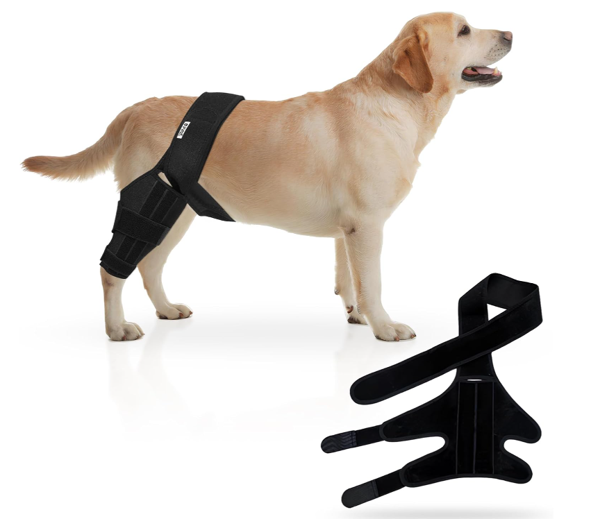 Dog Single Leg Long Knee Brace For Front and Rear Legs