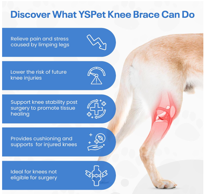 Dog Single Leg Long Knee Brace For Front and Rear Legs