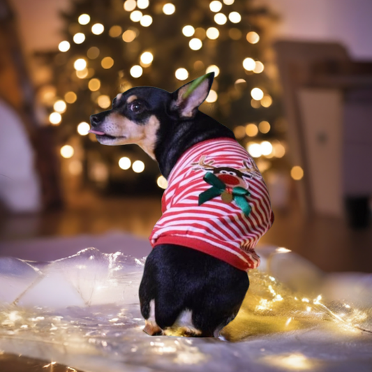 Pet Designer Holiday Christmas Reindeer Rudolph Sleeveless Shirt for Dogs and Cats