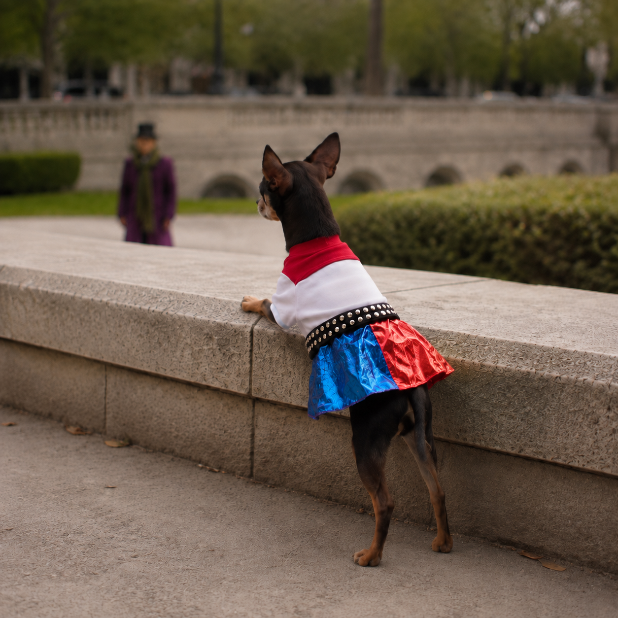 Red & Blue Villain Dog Costume Dress – Small Dog Halloween Outfit