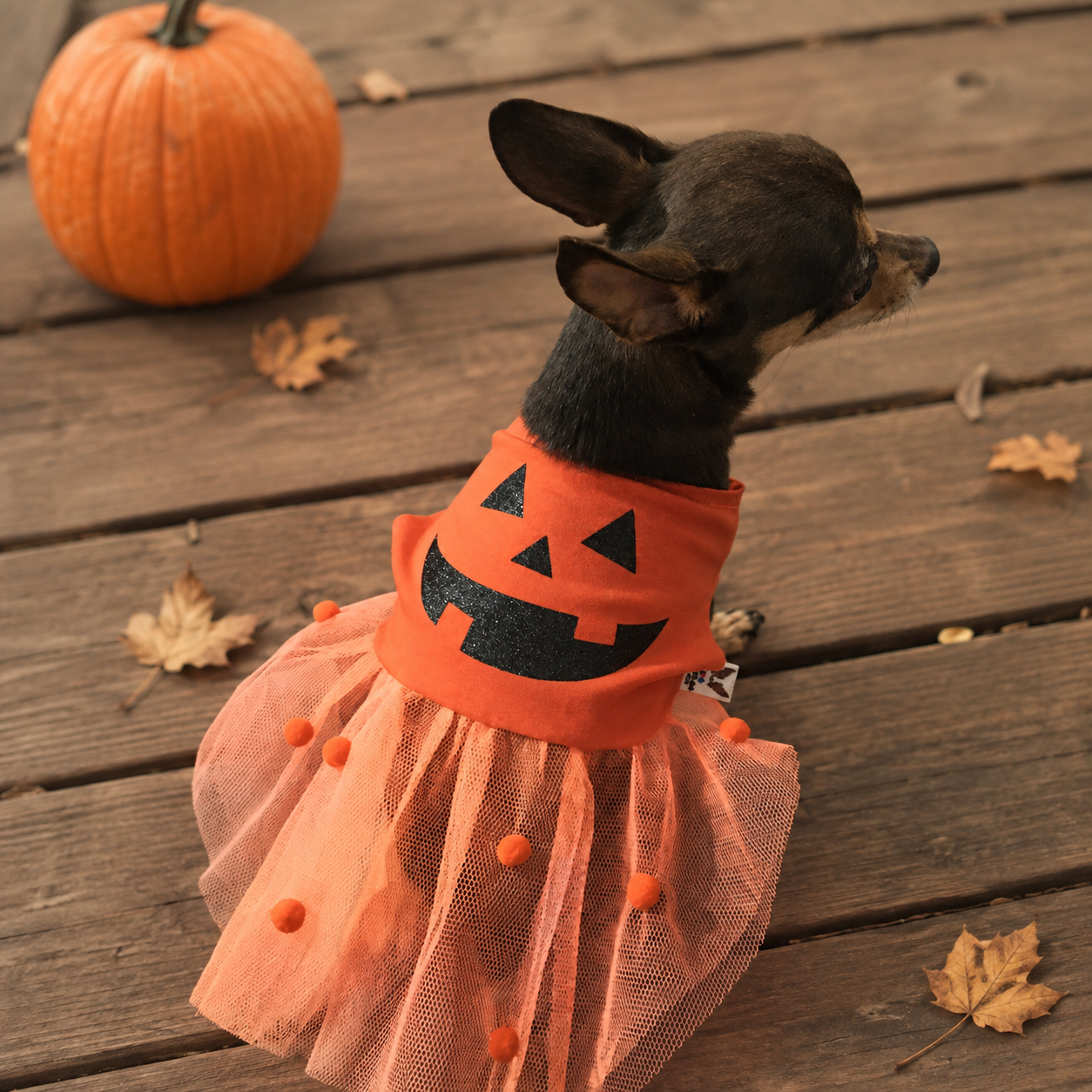 Pumpkin Dog Halloween Costume – Orange Tulle Pet Dress