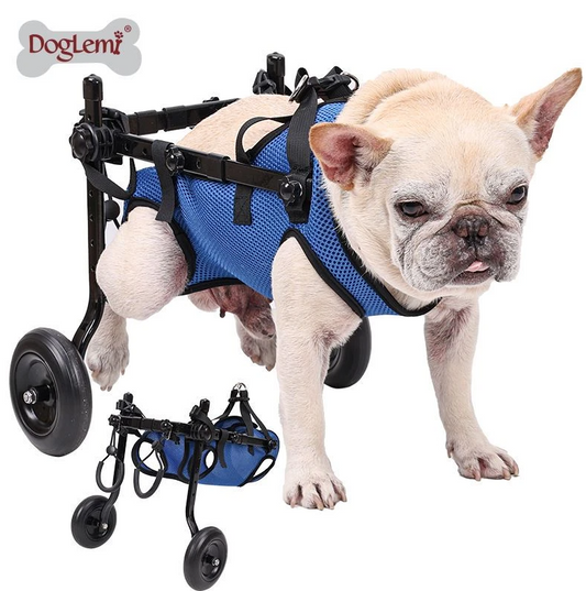 Pet Essentials |Folding Dog Wheelchair Disabled/Recovery/Handicapped Pet Elderly Dog leg support