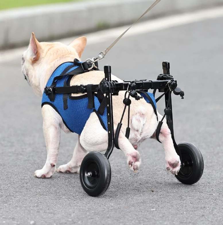 Folding Dog Wheelchair Disabled/Recovery/Handicapped Pet Elderly Dog leg support