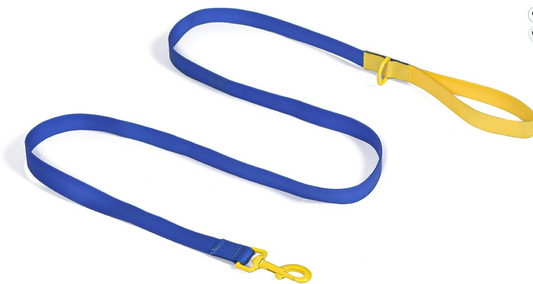 Navy and Yellow Waterproof PVC Leash for dogs